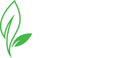 revive church site logo