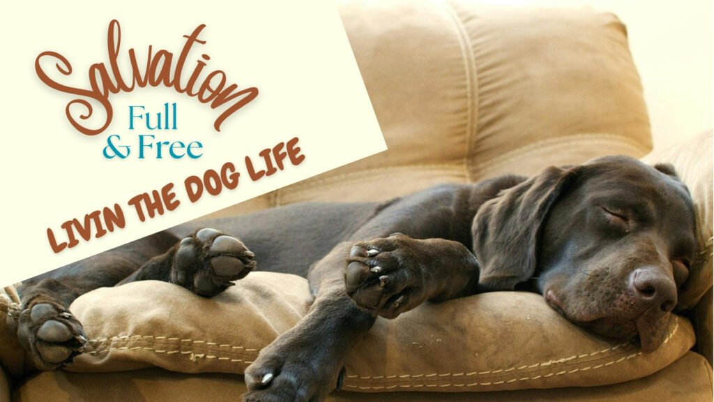 Sermon - Livin the Dog Life